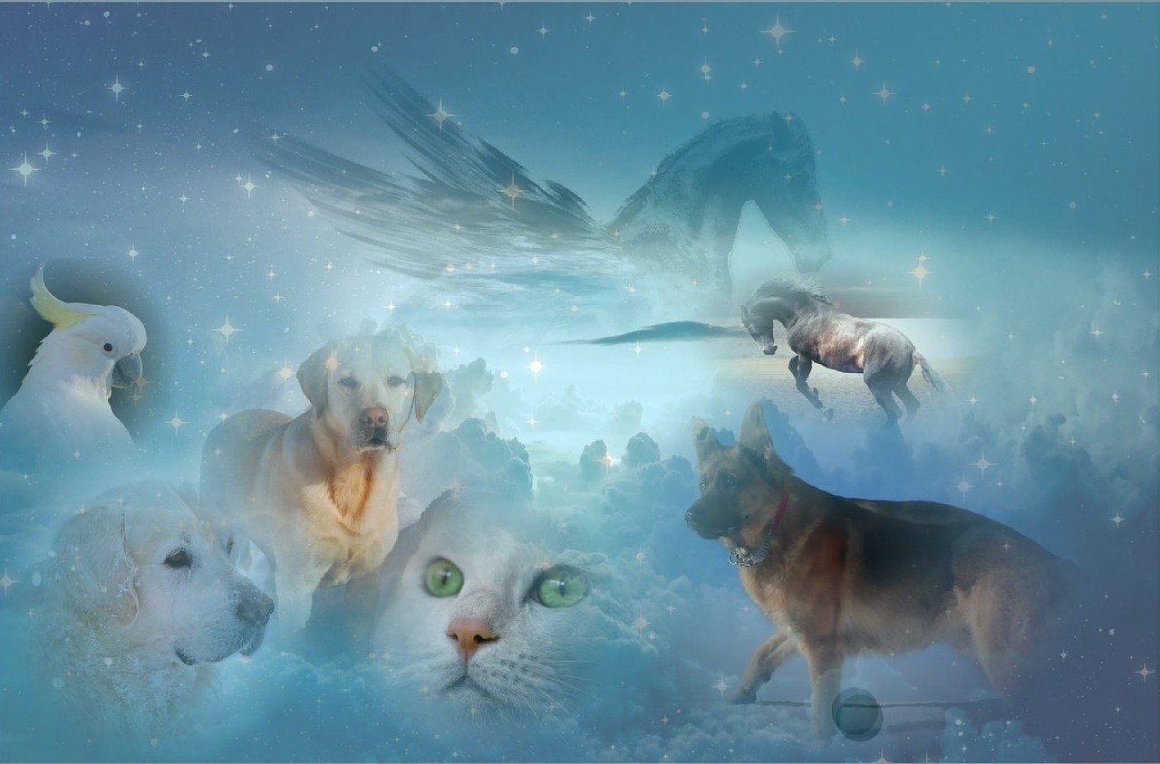 猫鼠大对决新版，超越时空的较量