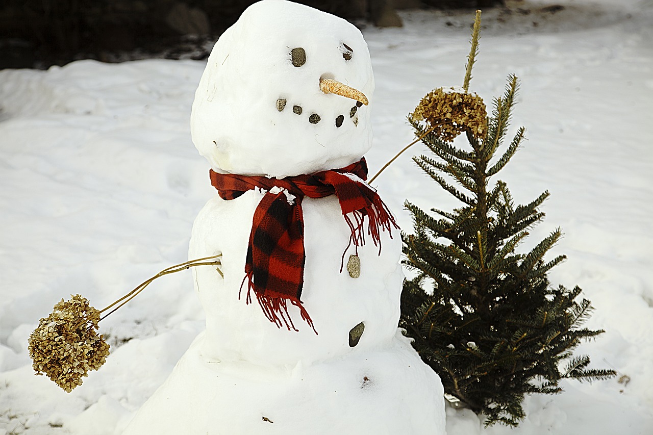 东北雪最新动态，瑞雪带来的惊喜与变化