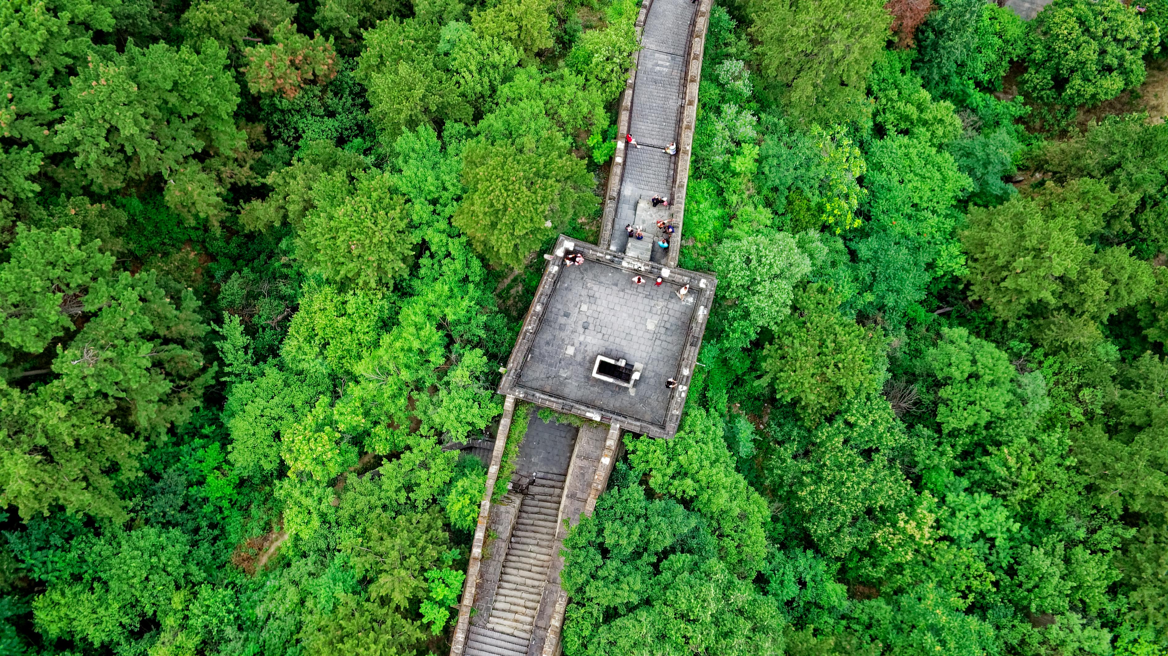 旅行光遇先祖位置最新探索指南