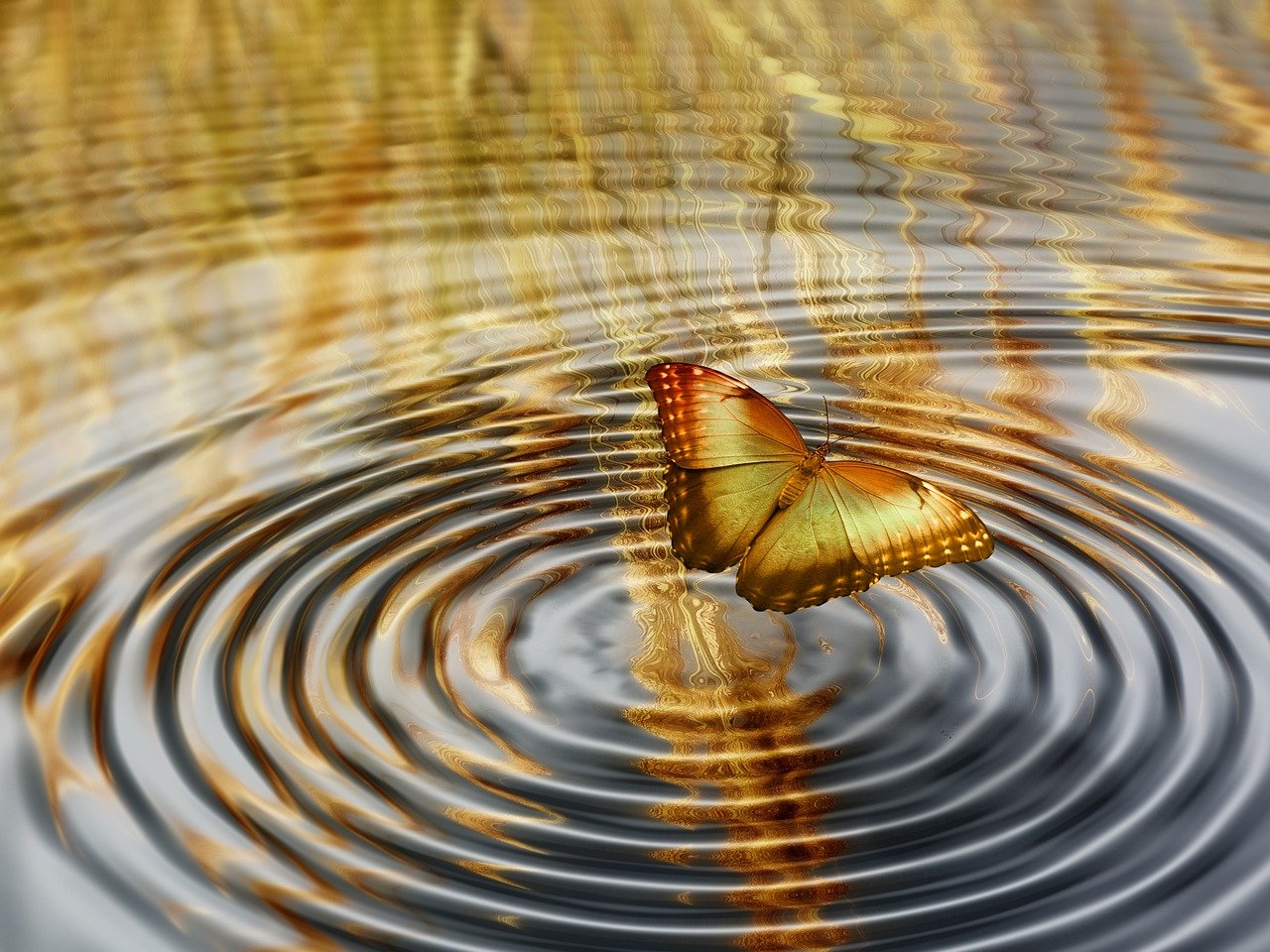 张柏芝与谢霆锋的最新动态，情感波折与人生新篇章的揭秘