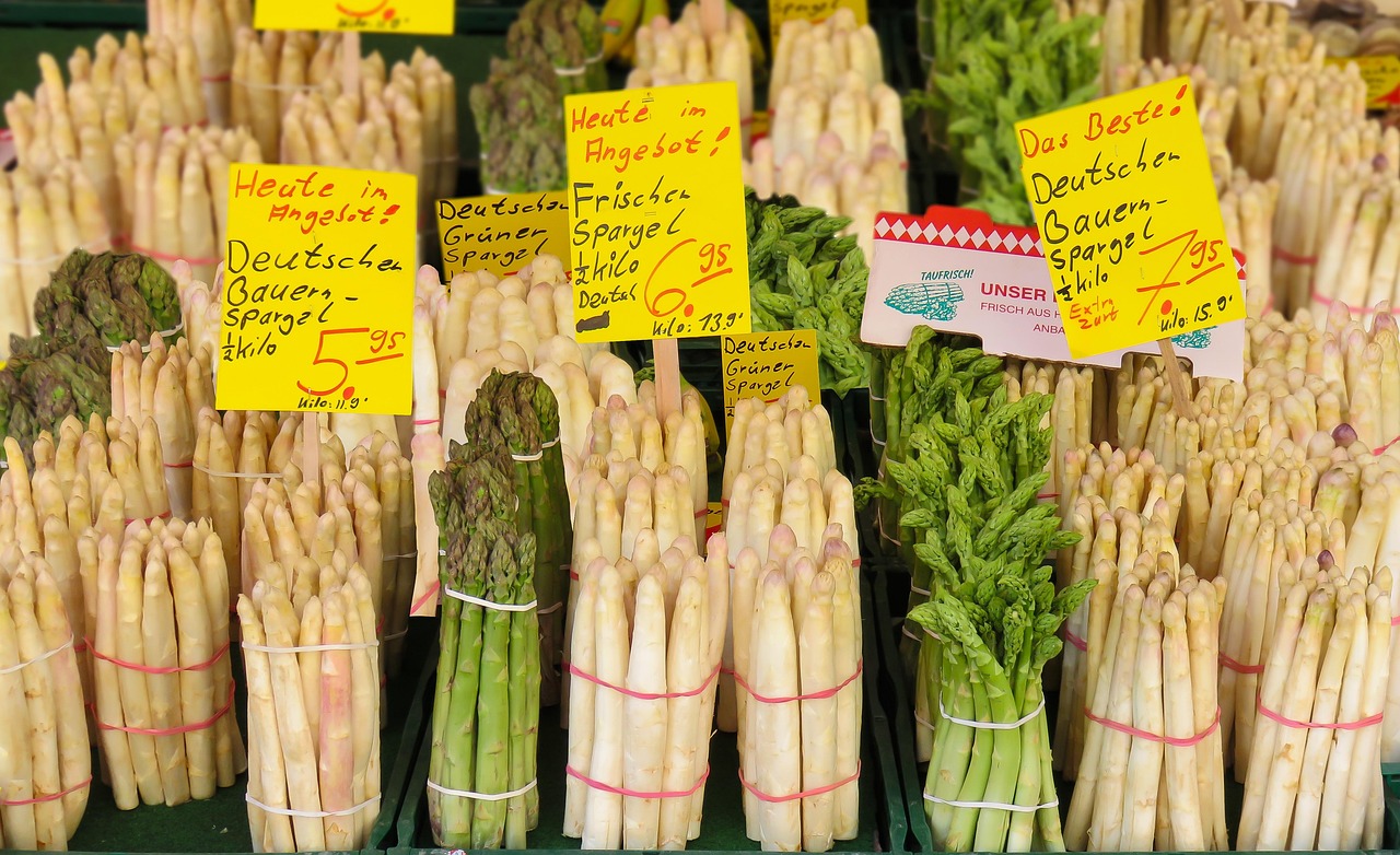 四川肉兔四月份价格分析与市场观察